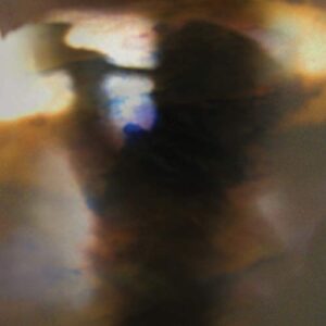 Fall Be Kind - Animal Collective (CDs)
