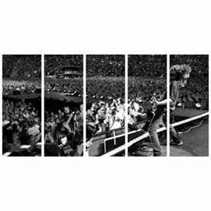 Quadro Decorativo Foo Fighters Show - 5 peças (CDs)