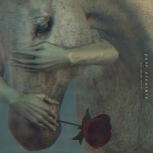 All Smiles Tonight - Poor Creature (CDs)