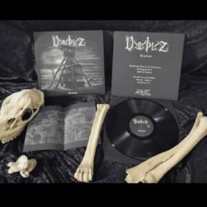 Dimsvall - Ondfodt (Discos de Vinil)