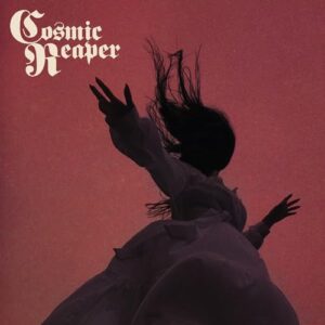 Bleed The Wicked, Drown The Damned - Cosmic Reaper (CDs)