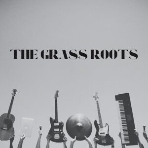 The Grass Roots Greatest Hits! - The Grass Roots (CDs)