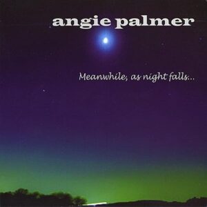 Meanwhile As Night Falls - PALMER ANGIE (CDs)