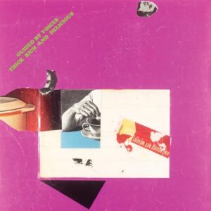 Thick Rich And Delicious - Guided by Voices (CDs)