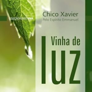 Vinha de luz (Coleção Fonte viva Livro 3) - Xavier, Francisco Cândido (Vinhos)