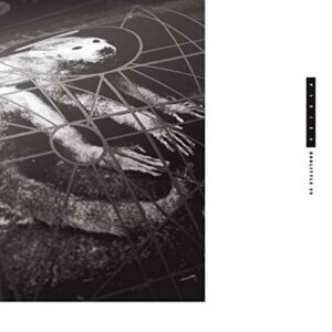 Doolittle 25 (CDs)