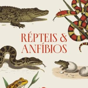 Répteis e Anfíbios: Manual de Estudos da Natureza - Comstock, Anna (CDs)