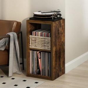 Furinno Suporte para toca-discos em cubículo com armazenamento de vinil, 2 cubos 1,2 armazenamento de discos de vinil extra grosso, prateleira de mídia aberta para CD DVD Blueray Game Disc, para sala (Equipamentos)