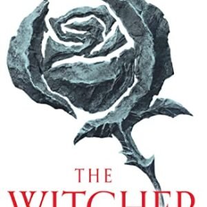 Blood of Elves: The bestselling novel which inspired season 2 of Netflix’s The Witcher (English Edition) - Sapkowski, Andrzej (CDs)