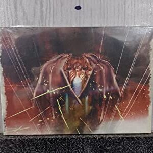 CD NACIONAL SLIPCASE DARKNESS LEGACY - FLYING WAR (CDs)