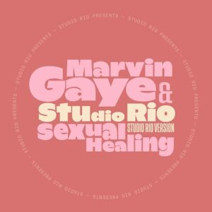 Sexual Healing - Marvin Gaye (Discos de Vinil)