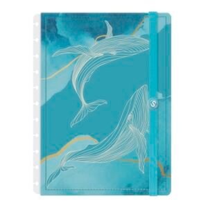 Capa e Contracapa Iscool Disc Para Caderno G Oceania Mar (Discos de Vinil)