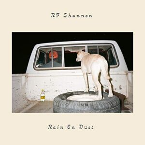 Rain On Dust - Rf Shannon (CDs)