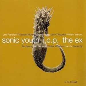 In The Fishtank - Sonic Youth+ICP+The Ex (CDs)