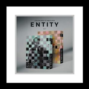 Astro Cha Eunwoo Entity 1st Mini Album 2 Version SET CD+1p Folding Poster on Pack+PhotoBook+3p PhotoCard+1ea Sticker+1ea DIY Entity+1p Accordion Lyric Paper+Tracking Sealed (CDs)