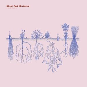 NEW KIND OF LOVE - Ghost Funk Orchestra (CDs)