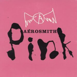 Pink / Taste of India - Aerosmith (CDs)
