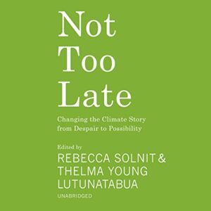 Not Too Late: Changing the Climate Story from Despair to Possibility - Various Authors (CDs)