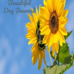 Such a Beautiful Day Journal - Pleasant, Demetrius Marcell (CDs)