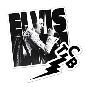 Desert Cactus Adesivo Elvis Presley decalque de vinil para laptop garrafa de água livro de recortes de carro (4 polegadas) (versão 3) (Discos de Vinil)