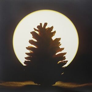 Ghost Notes [Disco de Vinil] (Discos de Vinil)