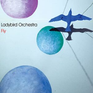 LADYBIRD ORCHESTRA-FLY (CDs)