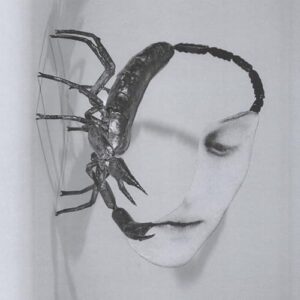 Touch - Tortoise (CDs)