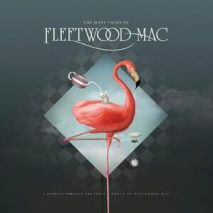 The Many Faces Of Fleetwood Mac / Various - Transparent Vinyl - Various Artists (Discos de Vinil)