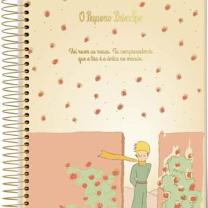 Caderno Espiral Univ CD 1 Matéria 96 Fls O Pequeno Príncipe Amarelo Jandaia (CDs)