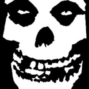 C&D Visionary Licenses Products The Misfits Imã de caveira (CDs)