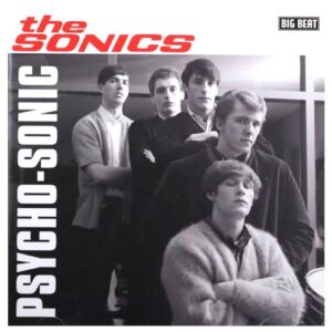 Psycho-Sonic - SONICS (CDs)