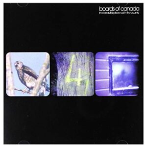 In a Beautiful Place Out in the Country - BOARDS OF CANADA (CDs)