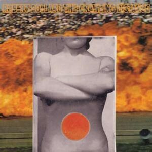 The Crawling Distance - POLLARD,ROBERT (CDs)