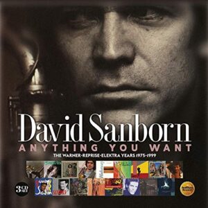 Anything You Want: Warner / Reprise / Elektra Years (1975-1999) - SANBORN,DAVID (CDs)