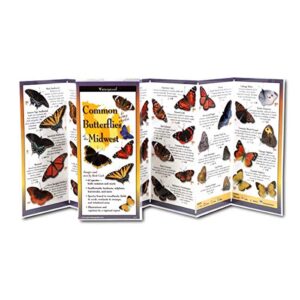 Common Butterflies of the Midwest (CDs)