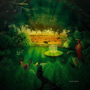Solar Plexus - Green Desert Water (CDs)
