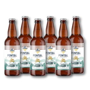 Cervejaria Pontal, American Ipa Sem Glúten - Garrafa 500ml Pack Com 6 Unidades (Cervejas)
