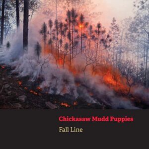 FALL LINE (DIGI PACK) (CDs)