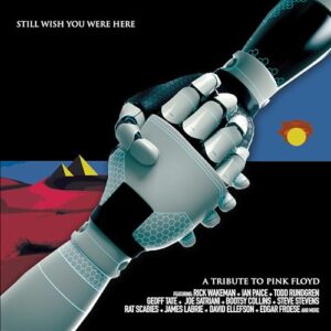 Pink Floyd Tribute: Still Wish You Were Here / Various (CDs)