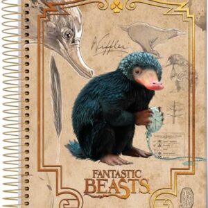 Caderno Espiral Univ CD 10 Matérias 160 Fls Animais Fantasticos Niffler FSC - Jandaia (CDs)