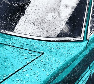 Peter Gabriel [1] [Remaster] - Gabriel, Peter (CDs)