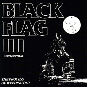 The Process of Weeding Out - BLACK FLAG (CDs)