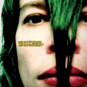 MISFITS & MISTAKES: SINGLES, B-SIDES & STRAYS 2007-2023 [2 Discs] - Superchunk (CDs)