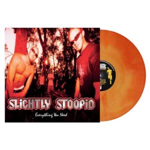 Everything You Need - Slightly Stoopid (CDs)