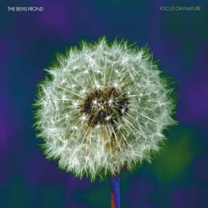Focus on Nature - The Bevis Frond (CDs)
