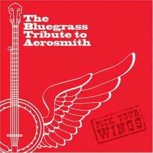 Bluegrass Tribute to Aerosmith: Pick Your - Tribute to Aerosmith (CDs)