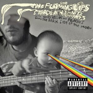 Flaming Lips & Stardeath Doing Dark Side Of The Moon - Flaming Lips / Stardeath / White Dwarfs (CDs)