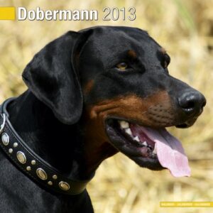Dobermann W 2013 (CDs)