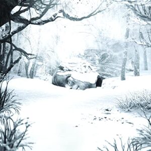 SZNZ: Winter - Weezer (CDs)
