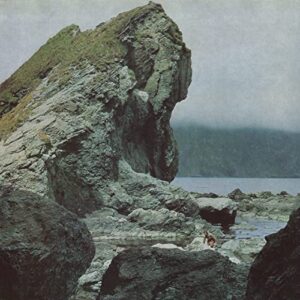 Many Nights - Motorama (CDs)